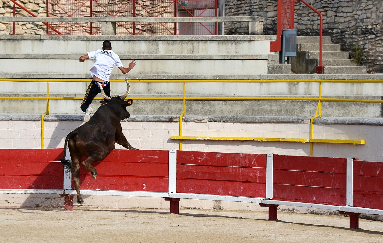 王争霸赛于